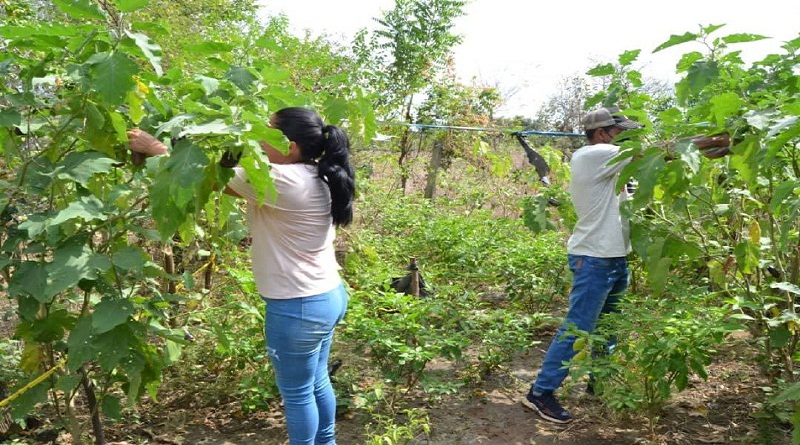 Guárico anuncia Fondo Regional para el Emprendimiento