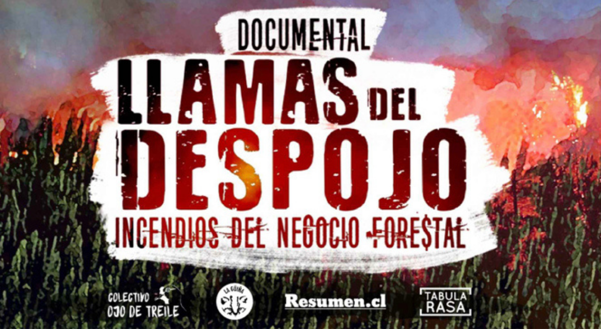 El documental «Llamas del despojo: incendios del negocio forestal» ya tiene fecha de estreno