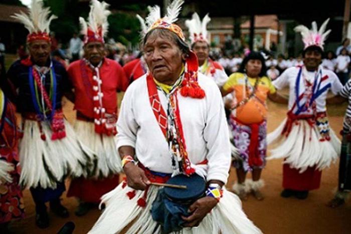 Organizaciones indígenas de Latinoamérica unidos para exigir la protección urgente de un pueblo no contactado de Paraguay