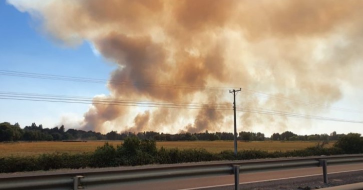 Continúan los incendios: Declaran alerta por incendio forestal en sector Duqueco-La Isla en Los Ángeles