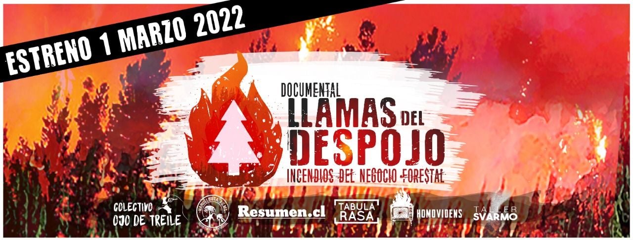 Documental «Llamas del Despojo» se entrenará el 1 de marzo en streaming: Aborda el rol de las forestales en incendios que afectan a comunidades y ecosistemas