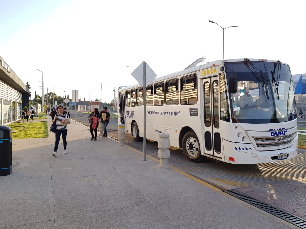 Reanudará BUAP servicio de Lobobus al interior de Ciudad Universitaria