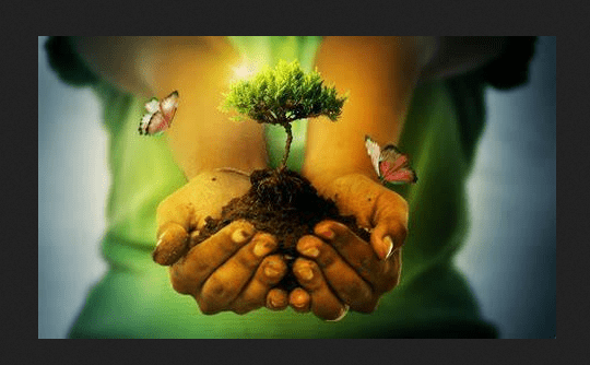 La democracia interpelada por la Madre Tierra: La justicia ambiental de la mano de la justicia social