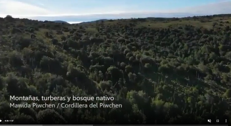 Un recorrido por el Mawida Piwchen: Territorio de montaña único e indispensable para la vida en Chiloé que buscan proteger