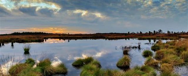 Tras intensas jornadas: Comisión de Medio Ambiente votó 37 propuestas de normas sobre  derechos de animales, principio ambientales y zonas de sacrificio