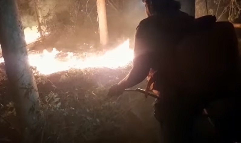 Máxima preocupación en Paillaco: Incendios forestales causan grave afectación a agricultura campesina