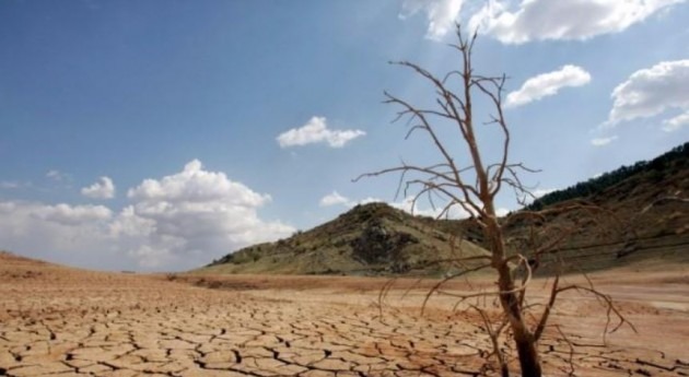 Informe internacional de expertos en cambio climático y mega sequía: Alarmante situación en Chile