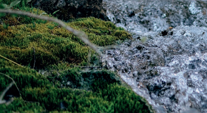 Impartirán charla abierta sobre cambio climático y uso eficiente del agua este 19 de febrero en V Festival Medio Ambiental del Hullin, comuna de Cunco, sector Huerere