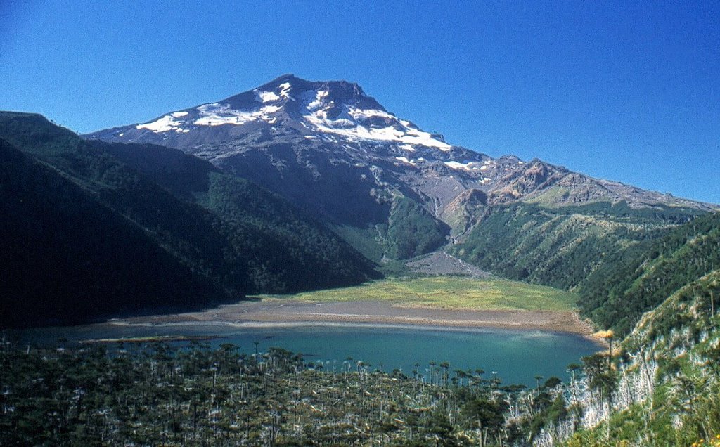 Organizaciones medioambientales del Wallmapu rechazan proyecto geotérmico en el volcán Tolhuaca