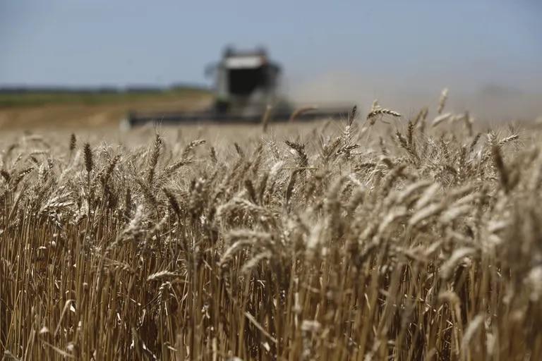 Sanciones contra Rusia por conflicto ucraniano impactará negativamente en el acceso a fertilizantes para América Latina