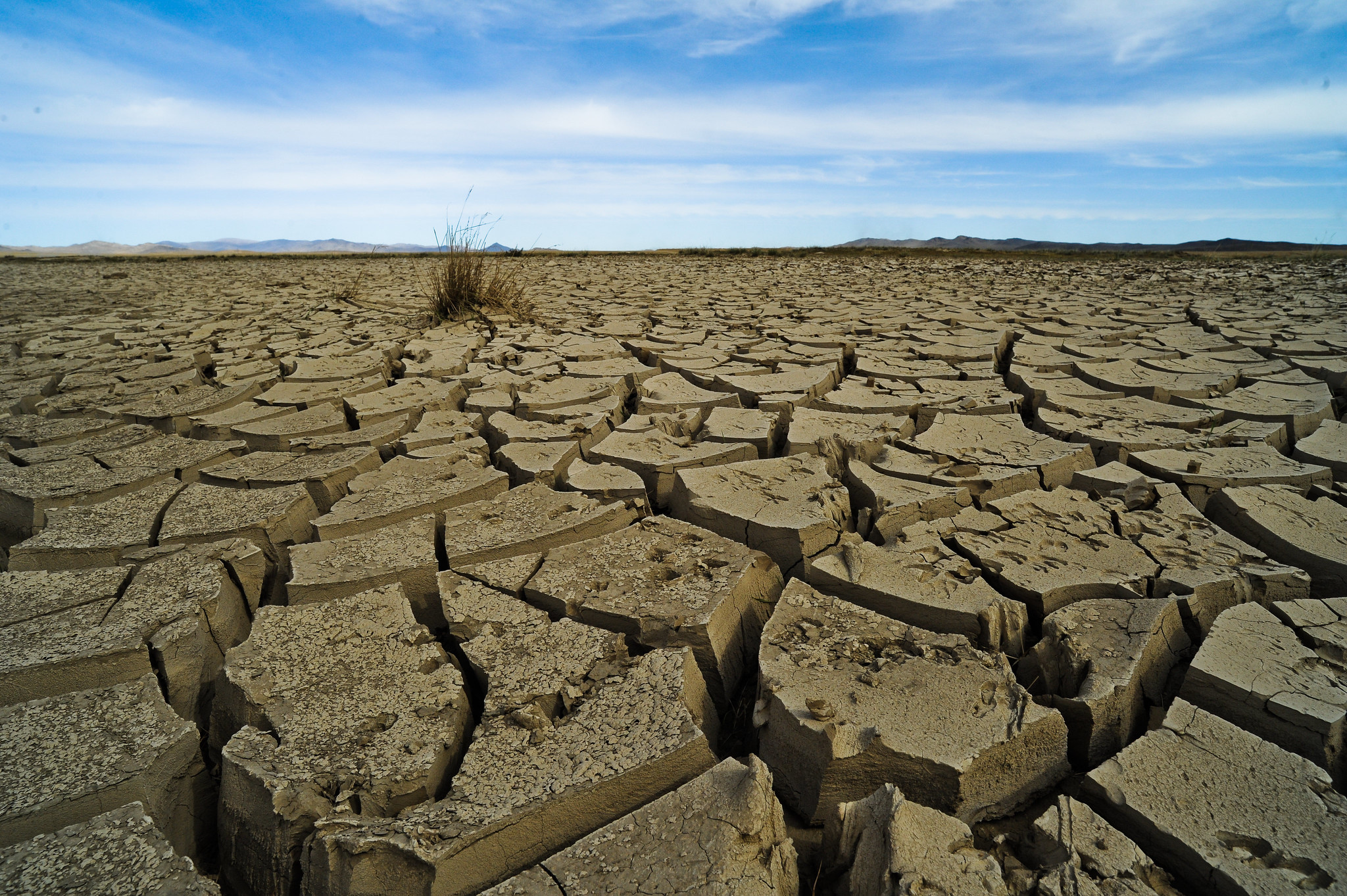 ¡Alerta Chile y Latinoamérica! En el Día Mundial contra la Desertificación y la Sequía la ONU publica lapidario informe: El cambio es ahora o nunca
