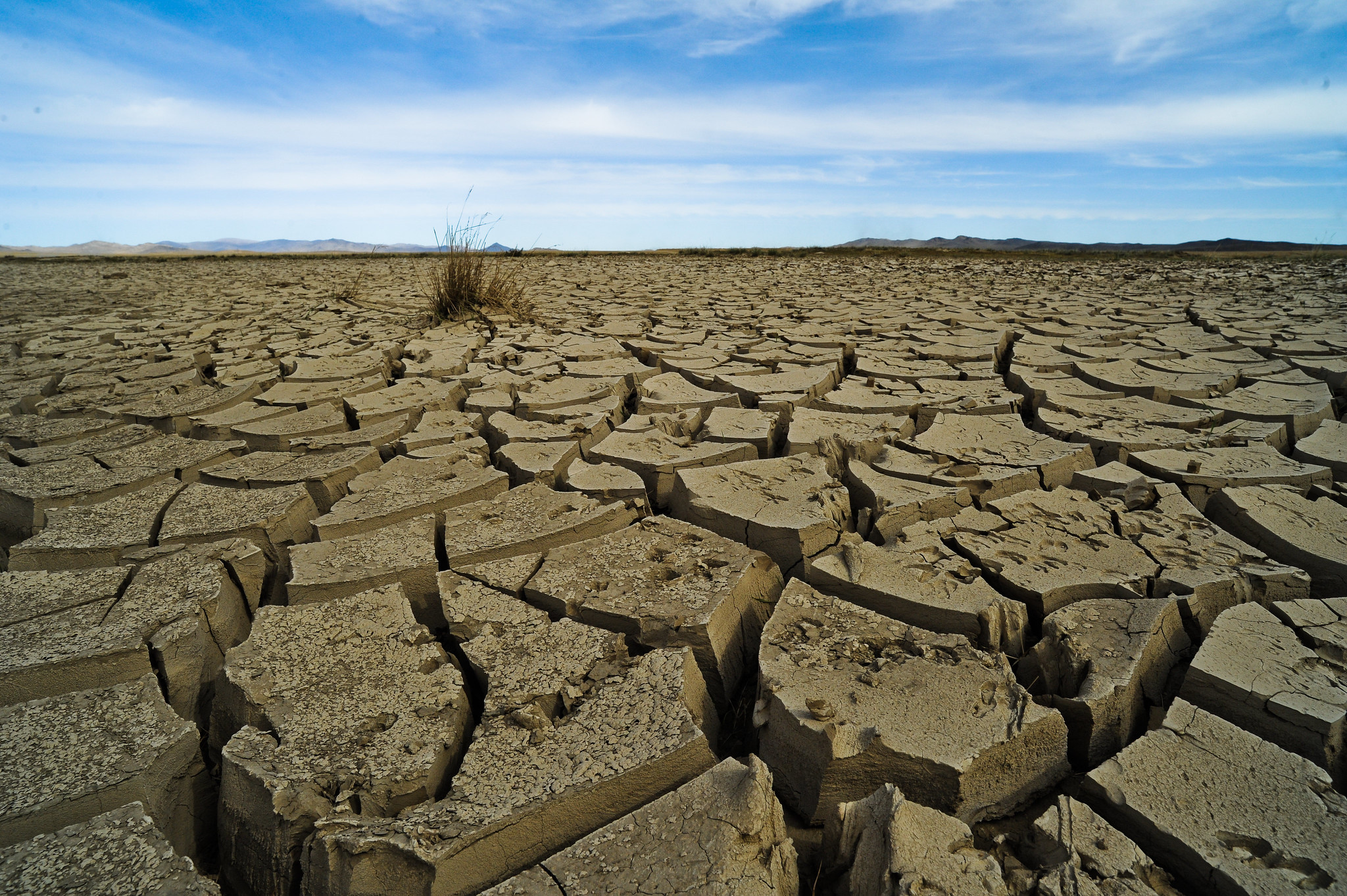 Por qué la justicia climática debe ir más allá de las fronteras