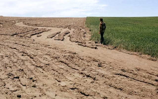 Del acaparamiento de tierras de cultivo al acaparamiento de suelos: la captura de carbono, un nuevo negocio