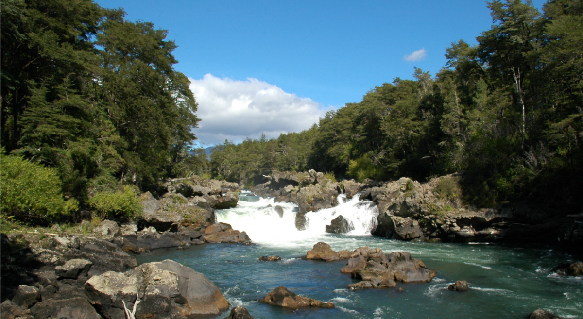 “Parcelación Altos del Trancura”: Tribunal Ambiental de Valdivia confirmó que el proyecto en Pucón deberá someterse a evaluación ambiental