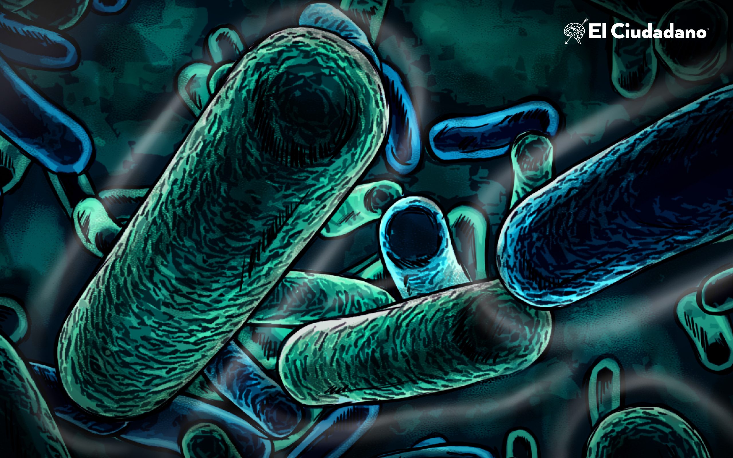 Aseguran descubrir la bacteria más grande del mundo                 