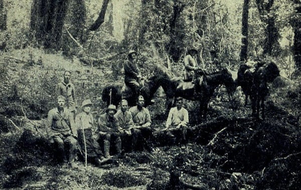 Colonos alemanes en el sur de Chile y la quema de “Chan Chan” con miles de hectáreas de bosque nativo arrasadas por el fuego