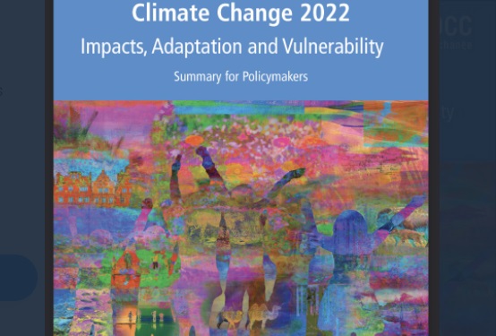 Informe sobre cambio climático: Impactos, adaptación y vulnerabilidad