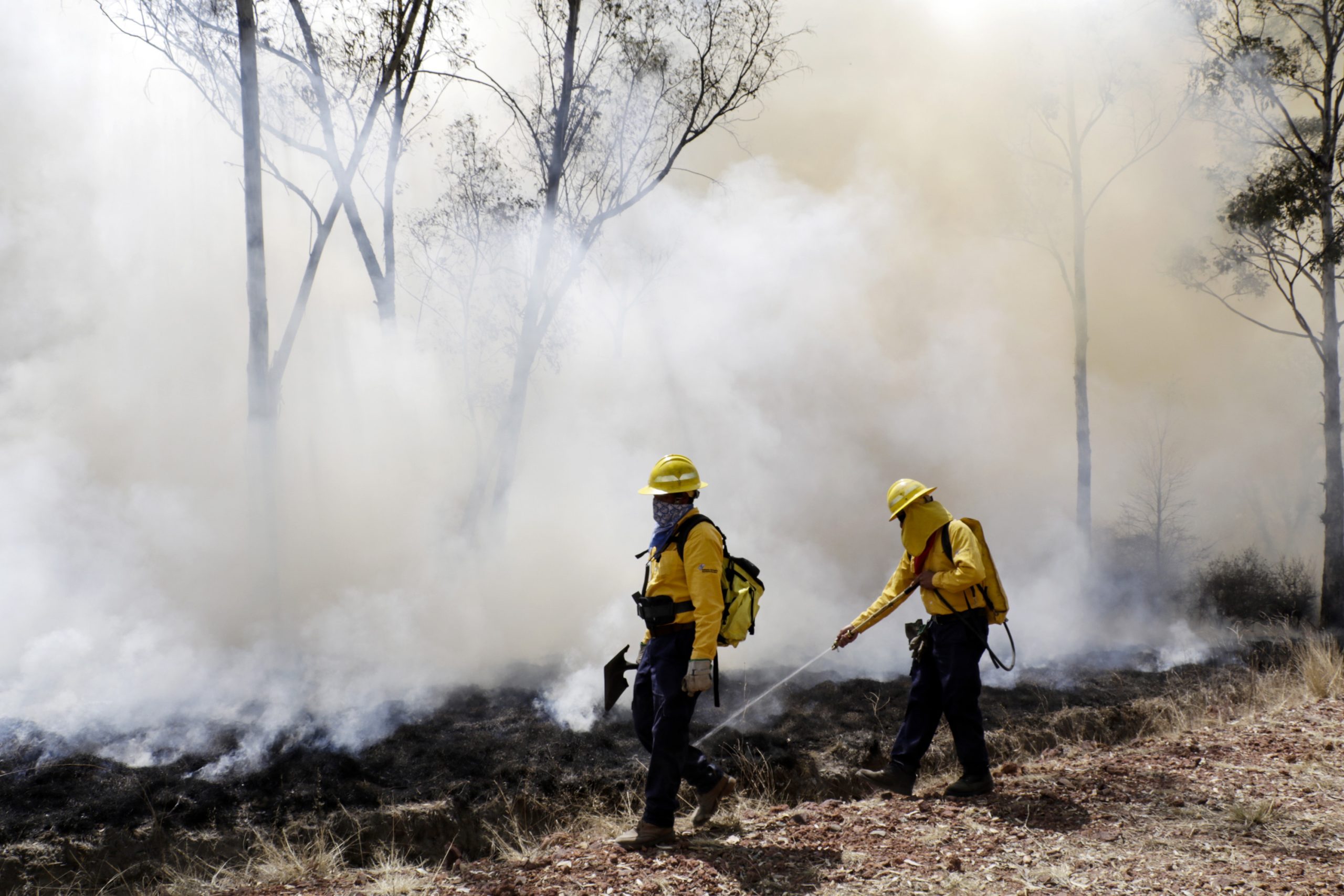 Reporta Cenapred tres incendios forestales en 24 horas