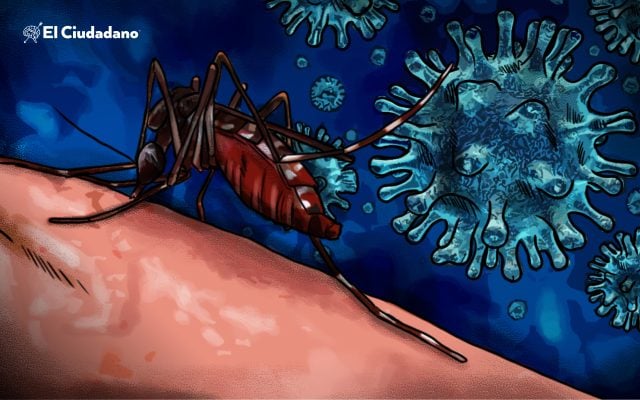Dengue