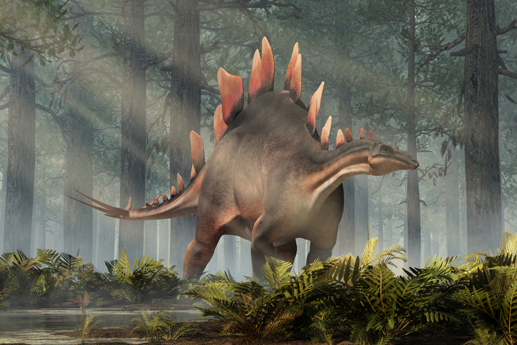 Estegosaurio-restos