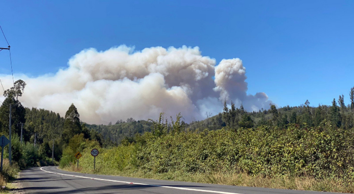 Alerta Roja para cuatro comunas de la Región del Bíobío por incendios forestales