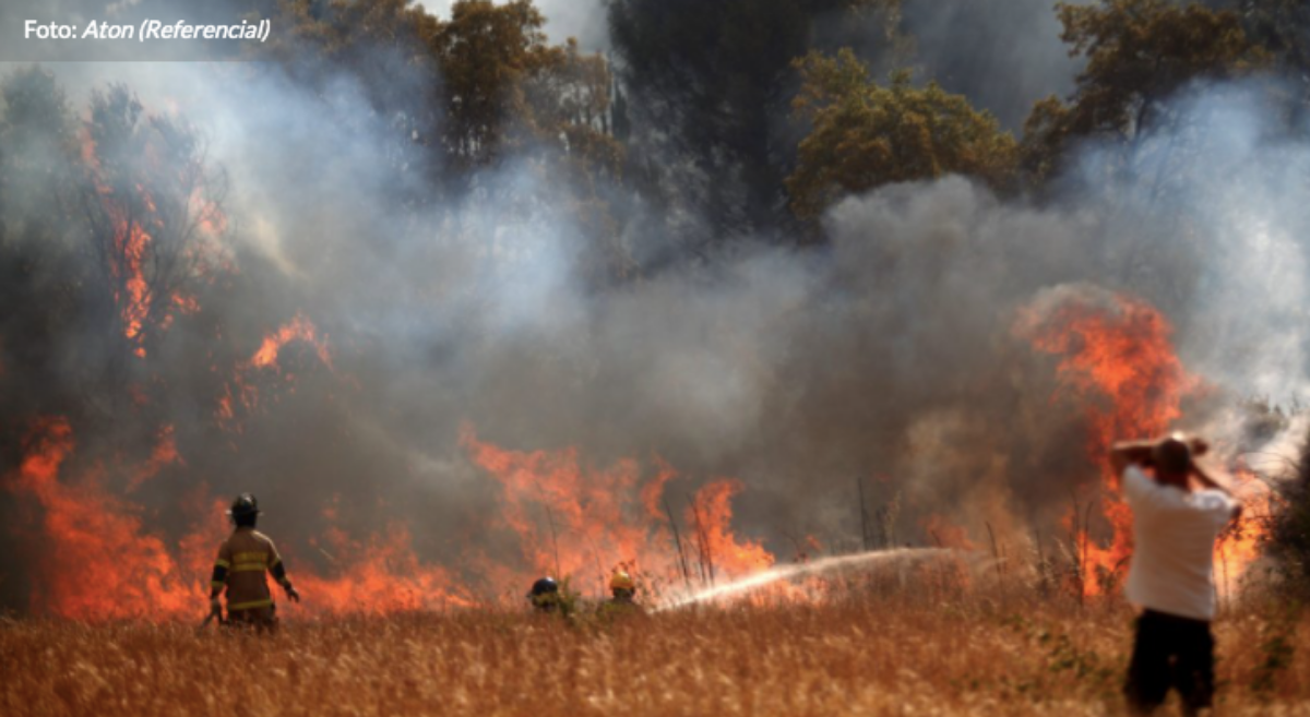 Declaran Alerta Amarilla para la comuna de Melipeuco por incendio forestal