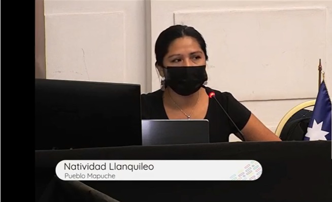 Natividad Llanquileo sobre conflicto Estado en territorio ancestral mapuche: “Mientras el modelo no cambie es difícil encontrar solución”