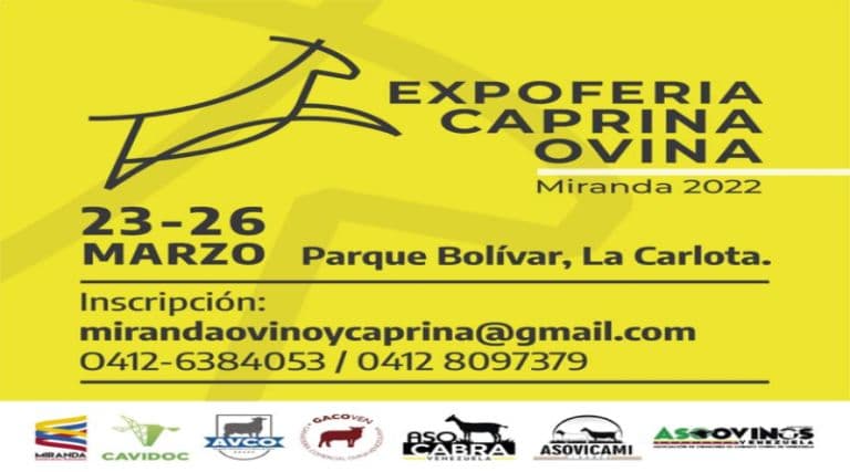 Parque Bolívar acogerá Expoferia Caprina y Ovina Miranda 2022