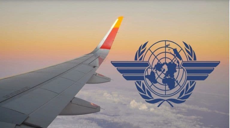 Venezuela se postula al Consejo de la Organización de Aviación Civil Internacional