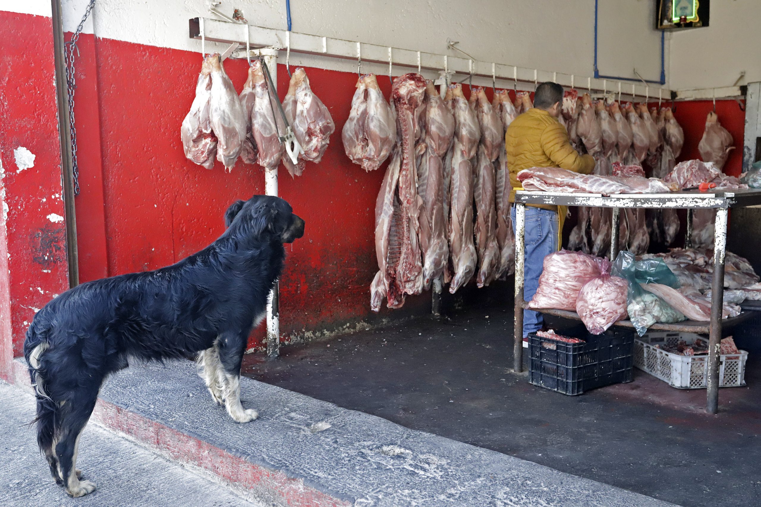Gobierno clausura cuatro negocios de carne en San Jerónimo Caleras