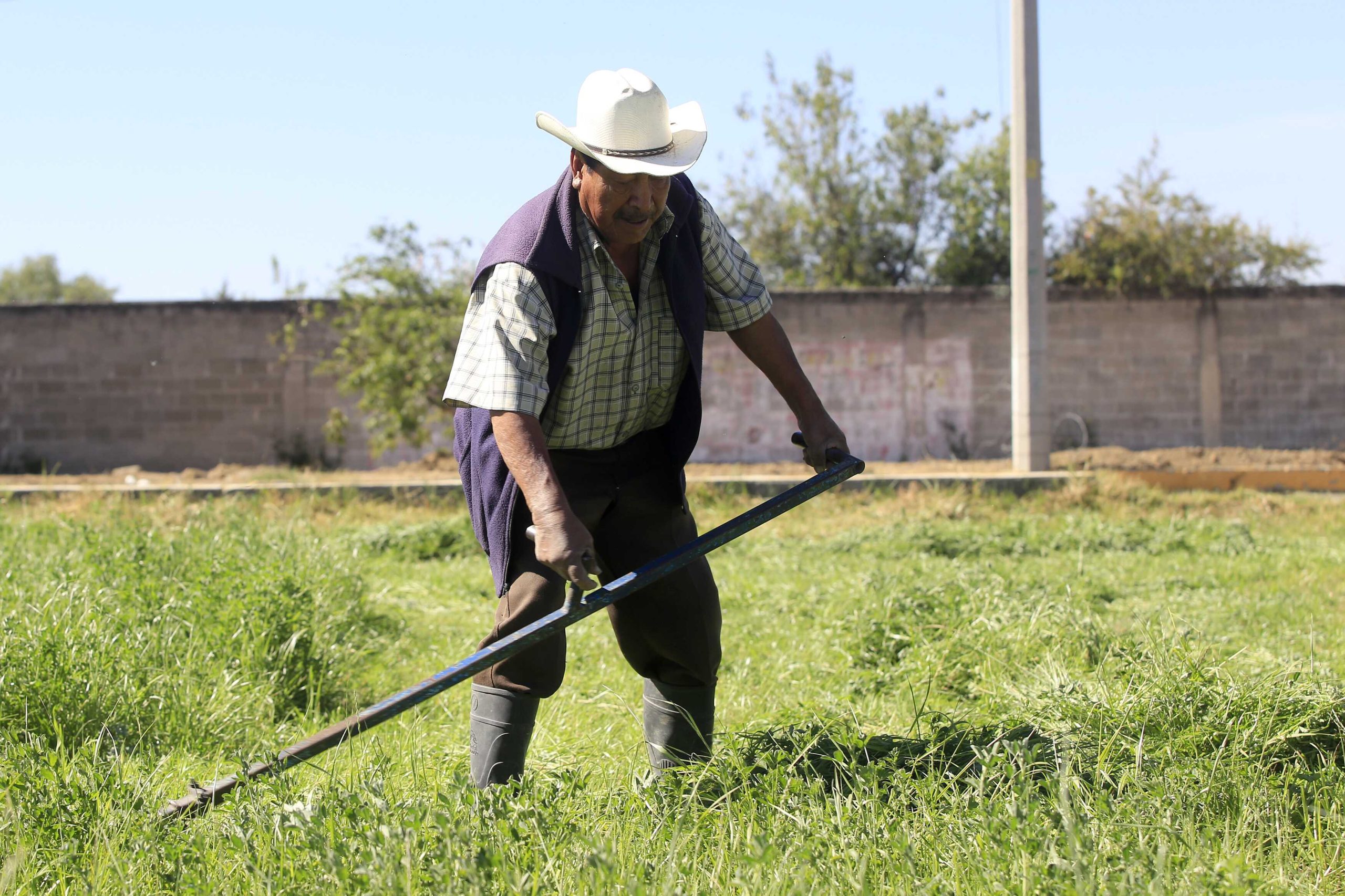 Dependencia federal apoyará con fertilizantes a productores de Puebla y Tlaxcala
