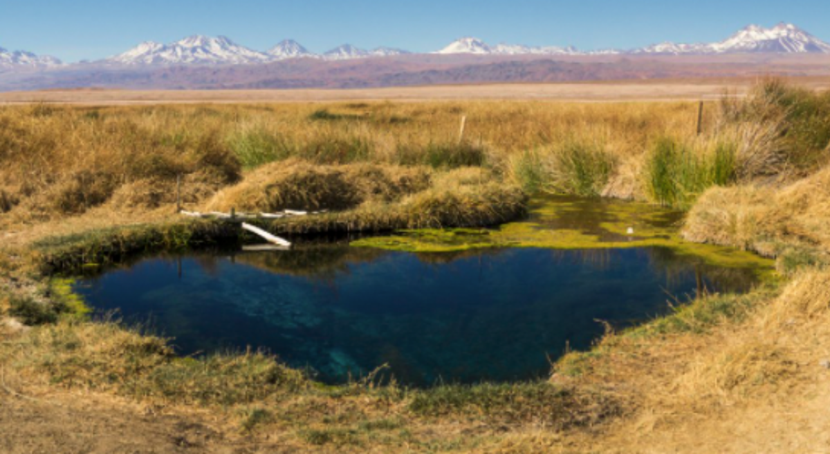 Nueva demanda por daño ambiental contra Minera Escondida ingresa al Primer Tribunal Ambiental