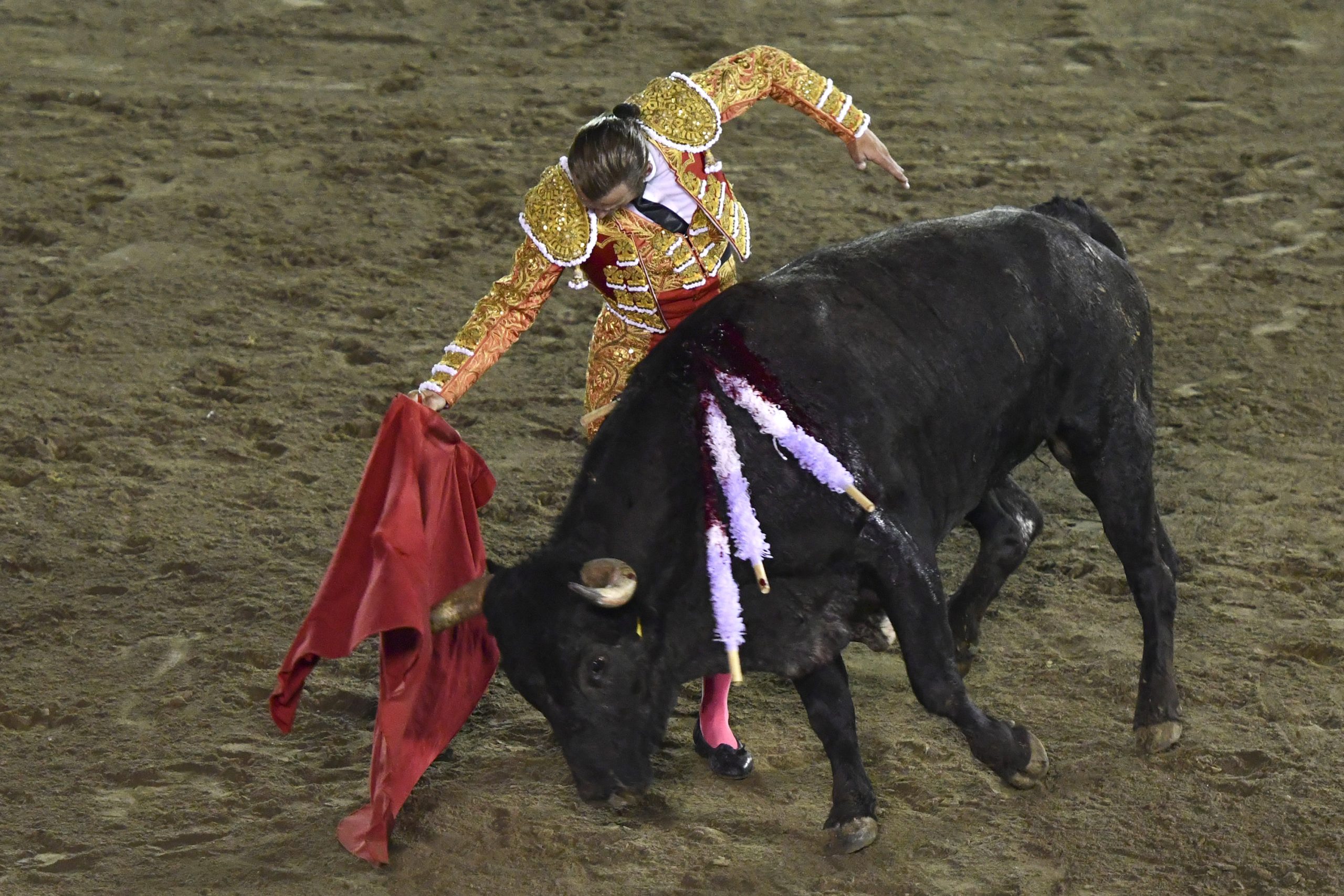 Eduardo Rivera desaíra demandas para prohibir corridas de toro