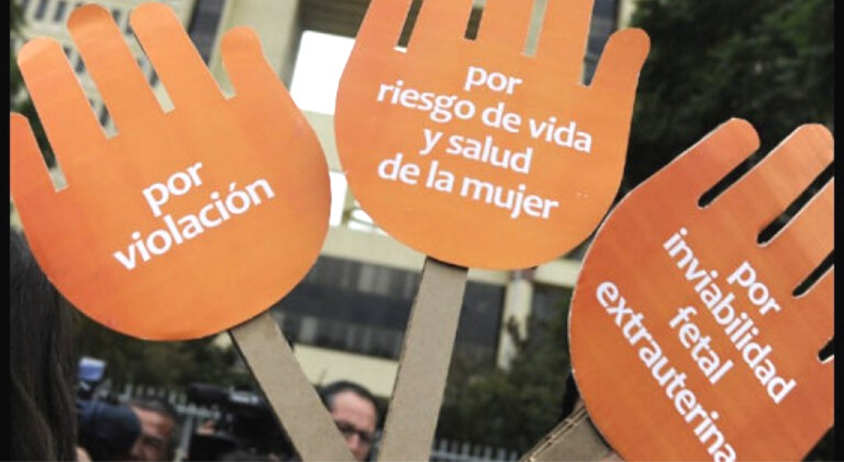 “Aborto en tres causales”: El 47% de los obstetras del sistema público son objetores en caso de violación