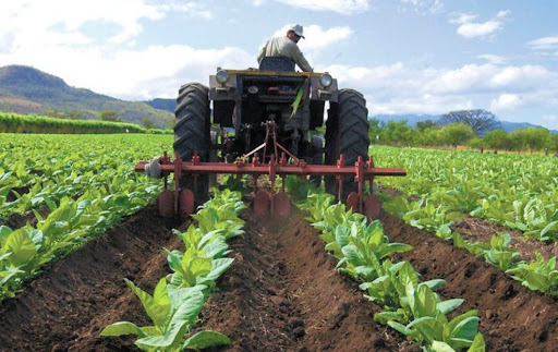 Gobierno venezolano inspeccionó calidad de semillas y fertilizantes