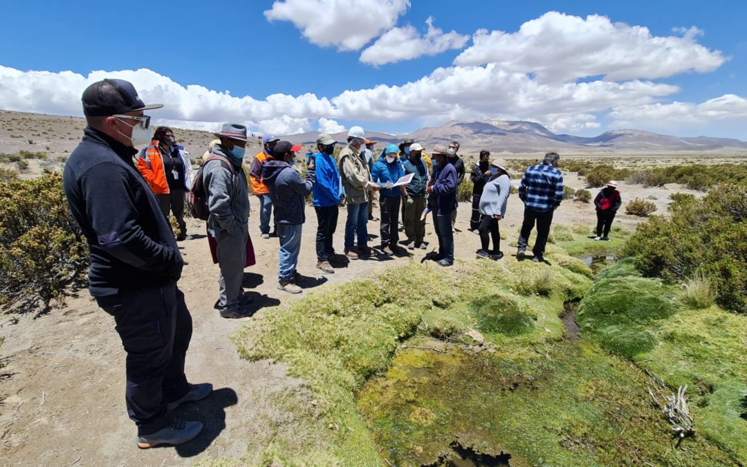 Demanda contra Minera Cerro Colorado por daño ambiental en acuífero Lagunillas: la audiencia de prueba consideró 15 testigos