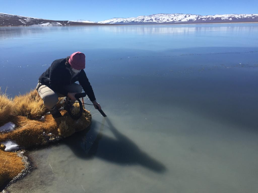 Avanza proyecto que busca generar un sistema de alerta temprana en los humedales altoandinos del Salar de Maricunga