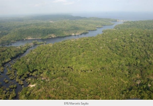 La dinámica de los ríos: detrás de la rica diversidad de aves en la Amazonía