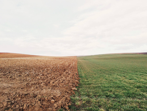 Estudio solicitado por senador Iván Flores revela «preocupante» producción alimentaria en Chile