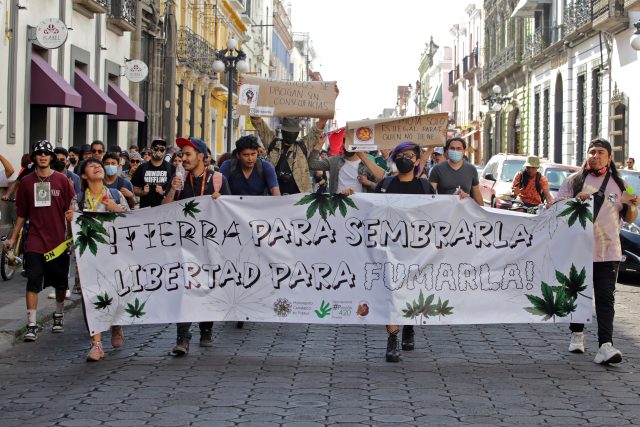 Colectivos poblanos exigen legalizar consumo recreativo del cannabis