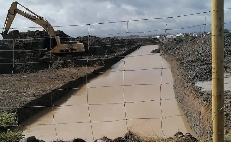 Denuncian destrucción de humedales por parte de inmobiliarias en sector Alerce Norte, Melipulli, Puerto Montt