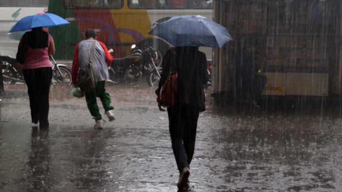 Fenómeno La Niña: lluvias causan estragos en diversas regiones de Venezuela