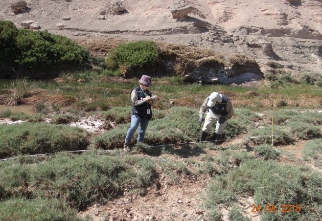 Antofagasta: Inician proceso de sanción contra minera Lomas Bayas por incumplimientos sobre aguas subterráneas y flora y fauna