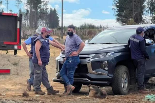 Camioneta con trabajadores de Forestal Arauco casi atropella a alcaldesa de Curanilahue durante inspección por destrucción de árboles nativos: Municipio anunció acciones legales