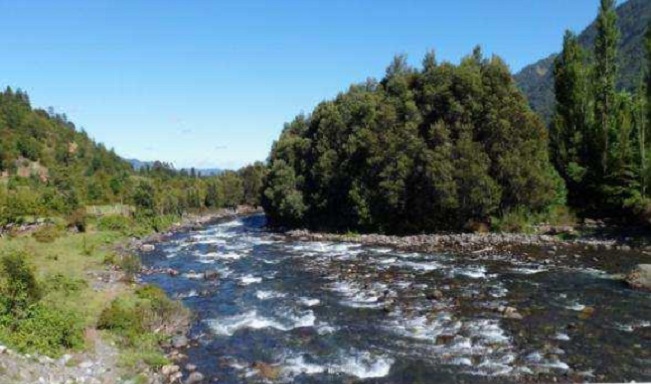 Tribunal Ambiental ordena a compañía forestal restituir cauce de río en reserva Mocho Choshuenco de Panguipulli