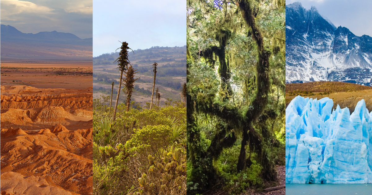 medioambiente Chile