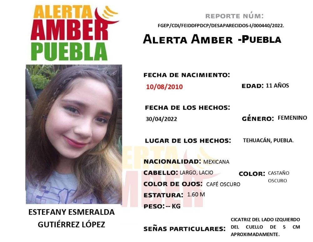 Activan Alerta Amber para localizar para localizar a Estefany Esmeralda de 11 años