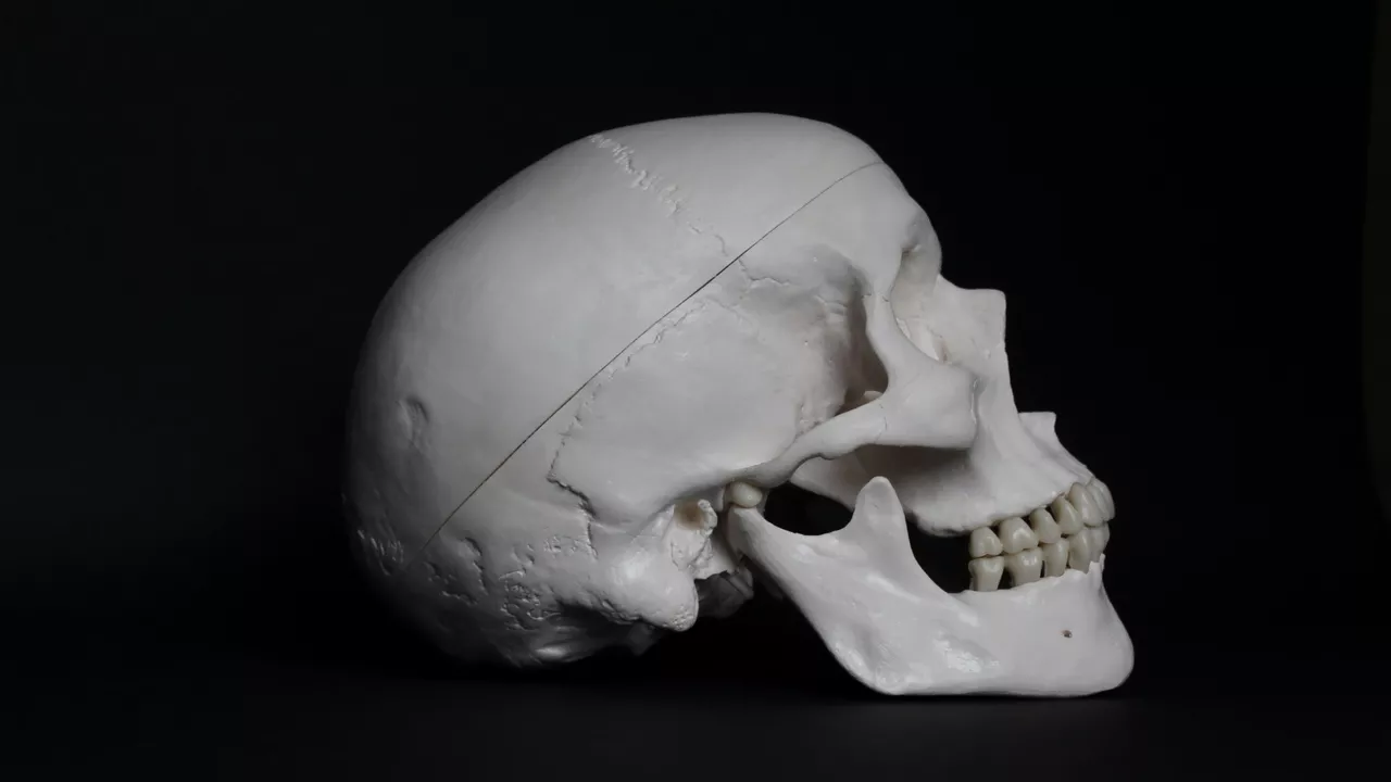 Encuentran cráneo de casi 8.000 años en el río Minesota