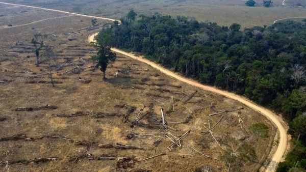 Récord histórico: deforestación de la Amazonía brasileña superó los mil kilómetros cuadrados