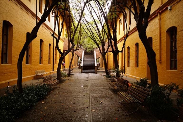 Con visitas guiadas, liberación de libros y acercamiento a la cosmovisión mapuche: U. de Chile abre sus instalaciones para celebrar el Día de los Patrimonios